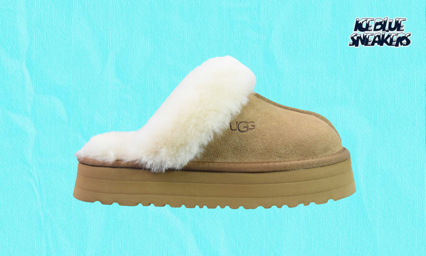 UGG MULE DISQUETTE