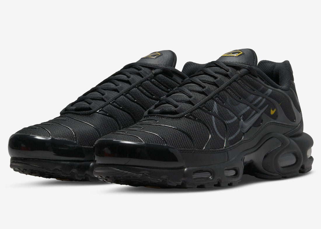 Nike Air Max Plus TN SE