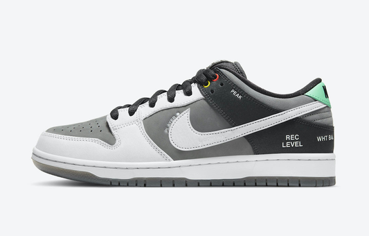 Nike SB Dunk Low “Camcorder”