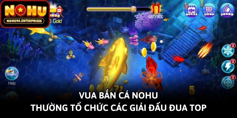 Vua bắn cá Nohu thường tổ chức các giải đấu đua top